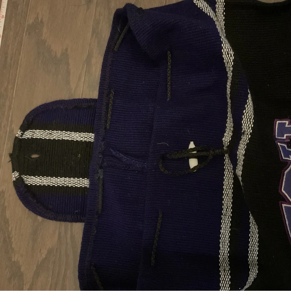 TCU Horned Frogs Backpack